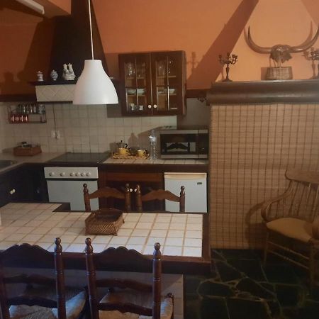 Loft Green Leilighet La Laguna  Eksteriør bilde