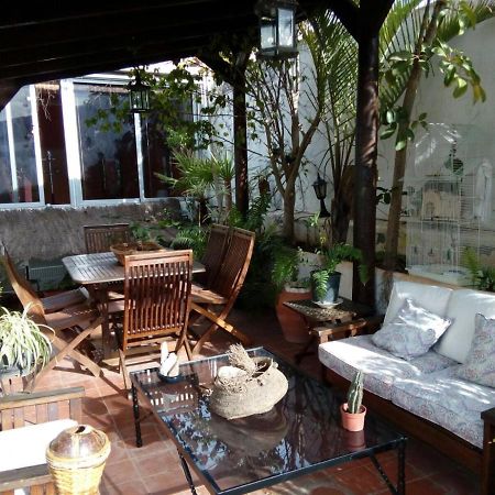 Loft Green Leilighet La Laguna  Eksteriør bilde
